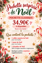 Pochettes Surprise de Noël "CLASSIQUE"