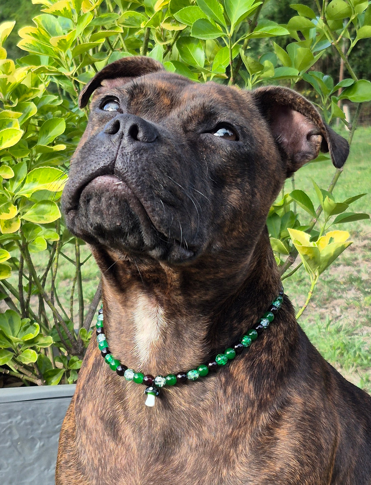 Collier "Forêt enchantée"