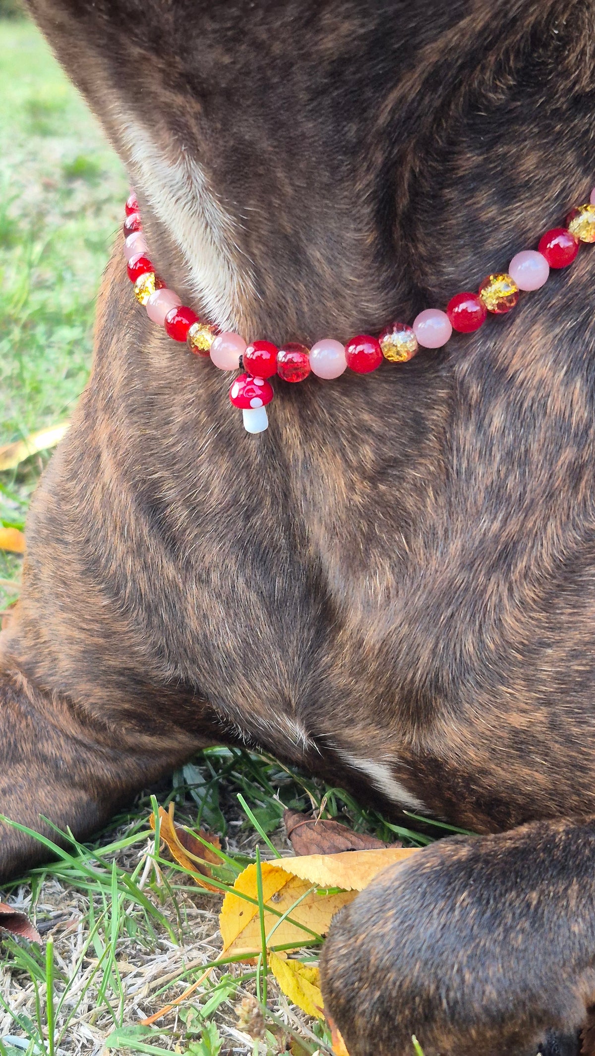 Collier "Feuillage rouge"