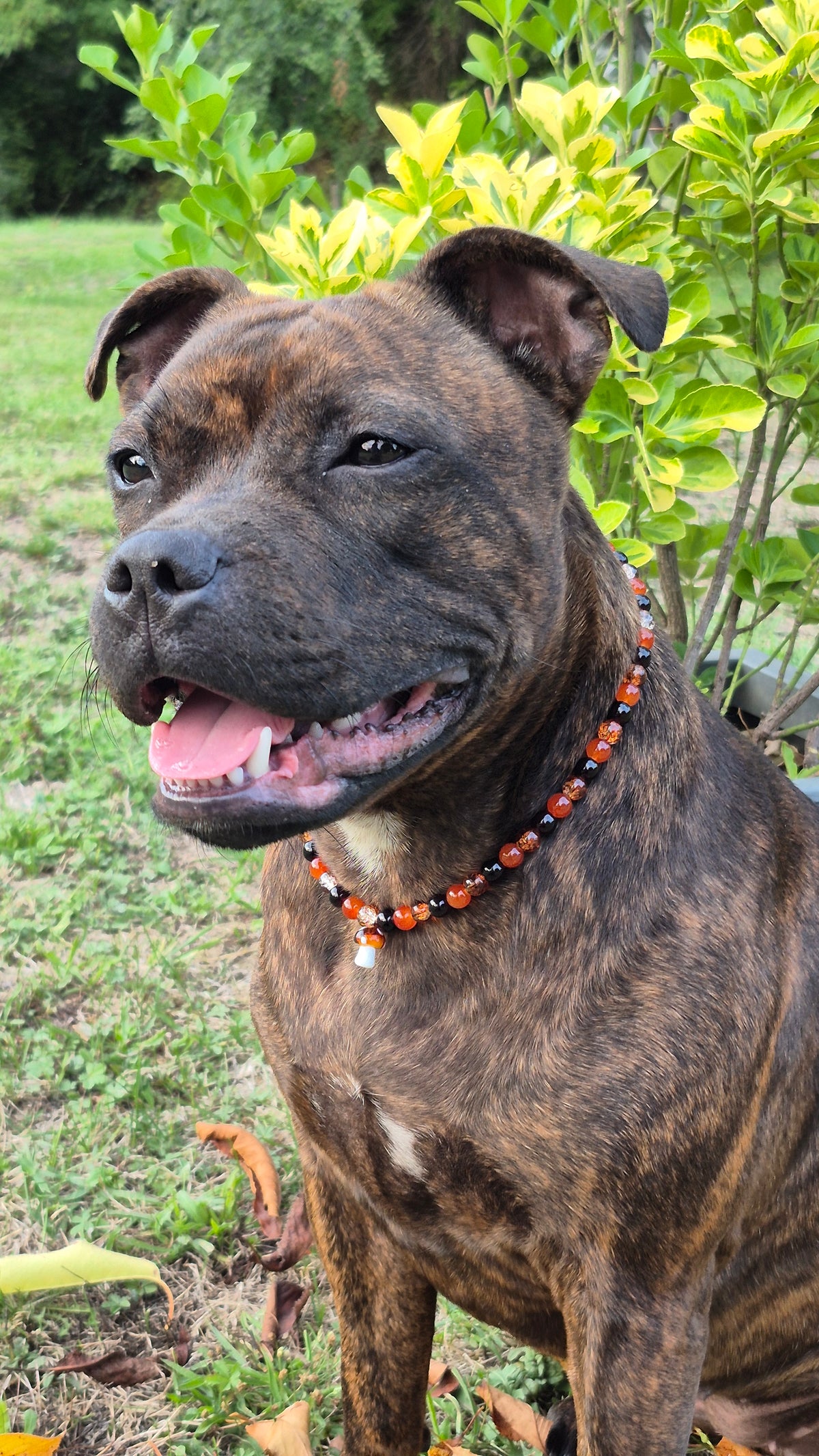 Collier "Bois d'Automne"