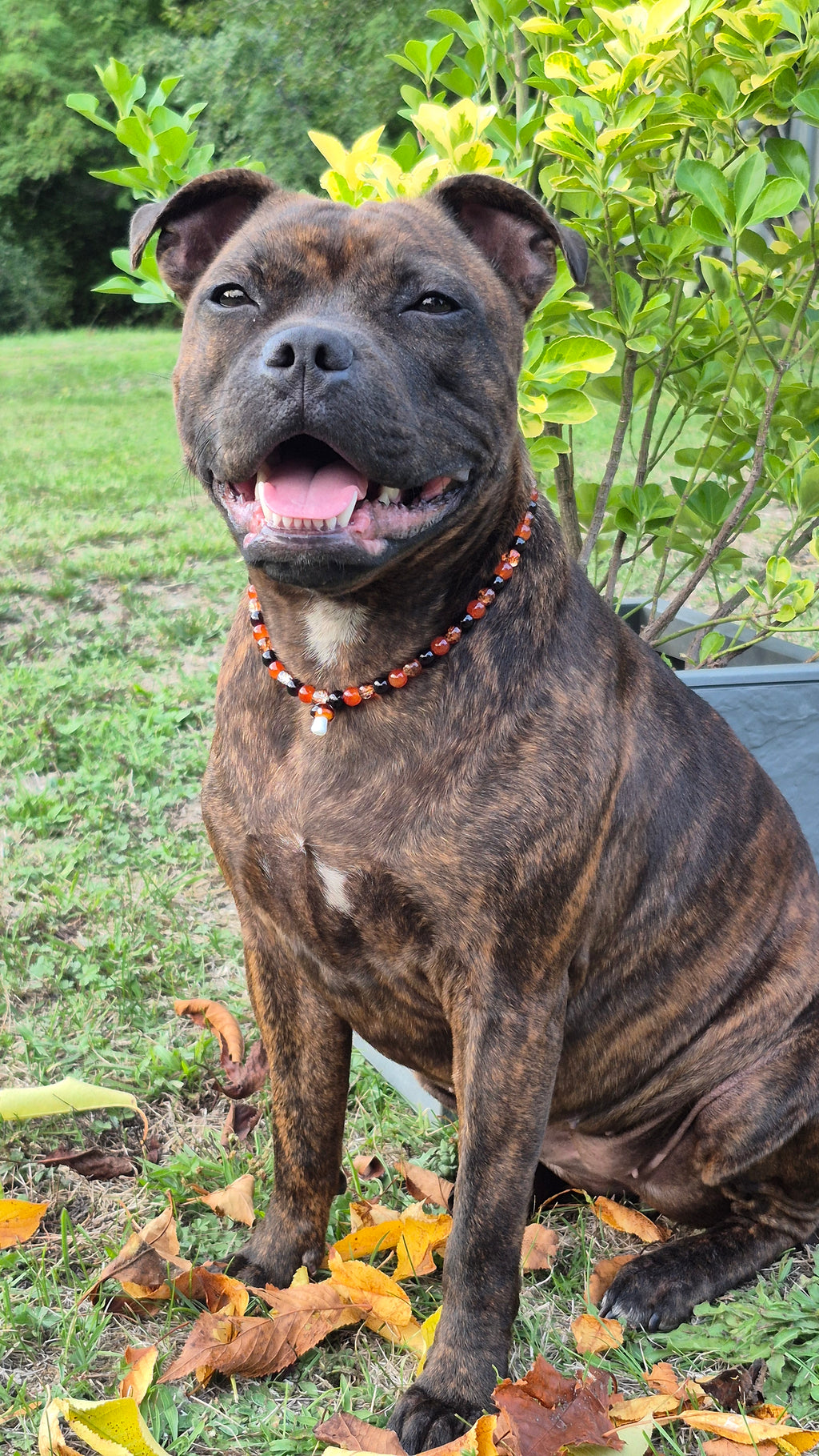 Collier "Bois d'Automne"