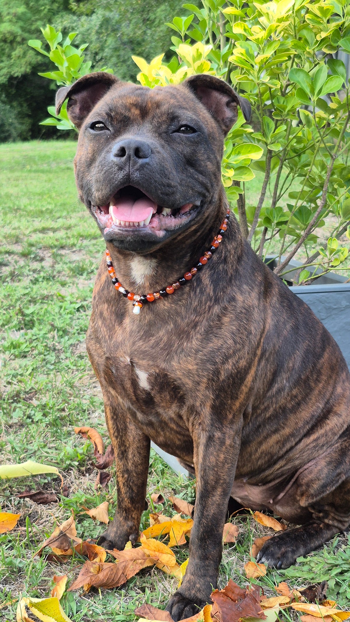 Collier "Bois d'Automne"