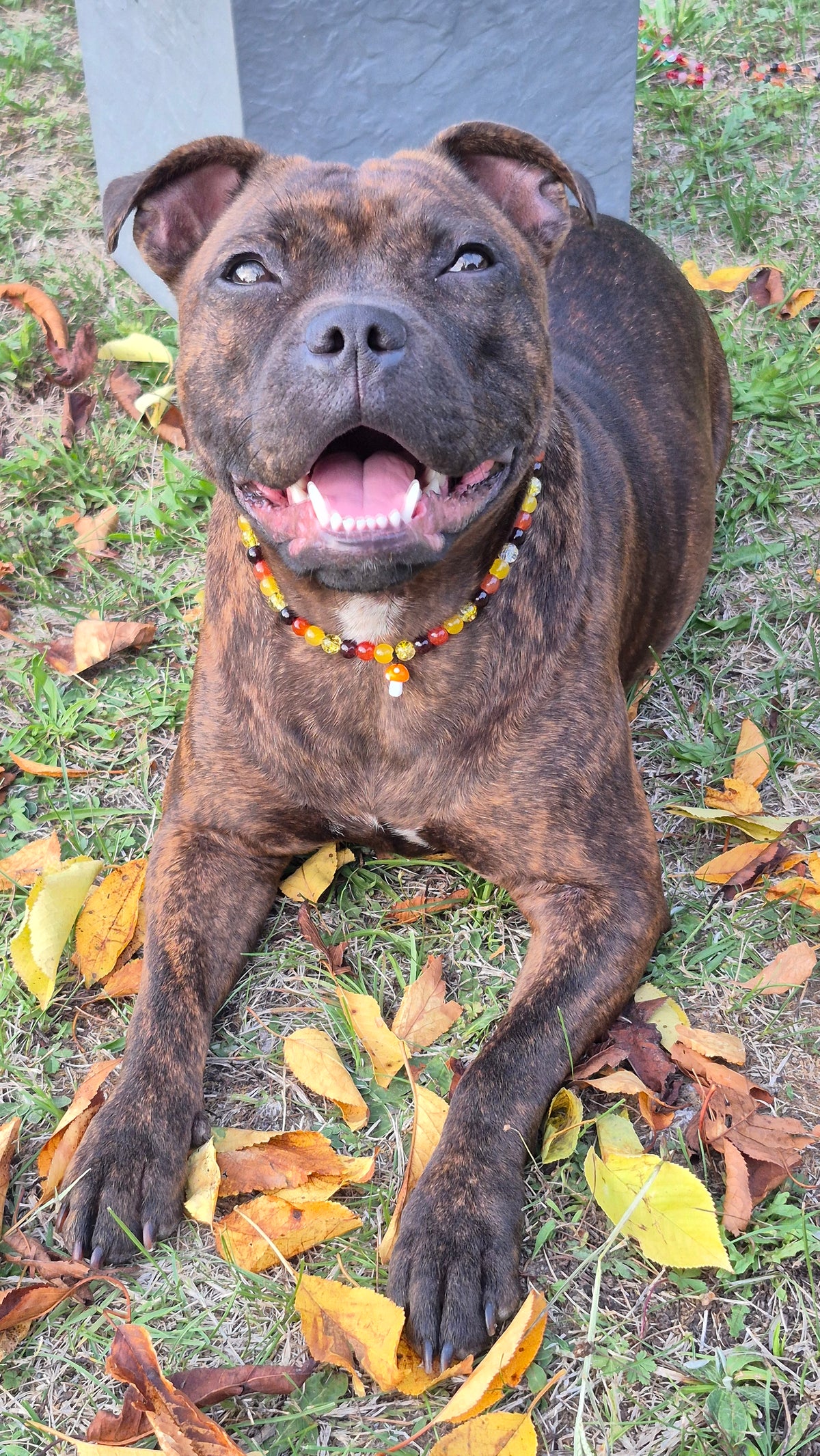 Collier "Récolte d'Automne"