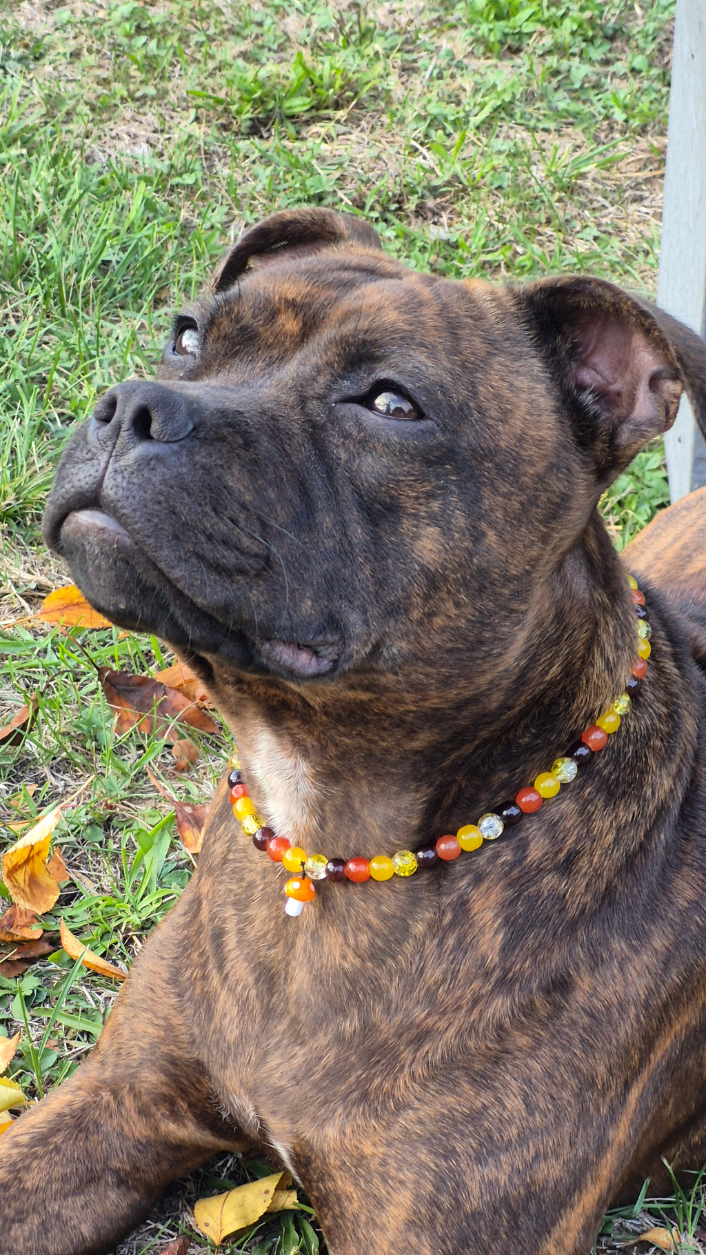 Collier "Récolte d'Automne"