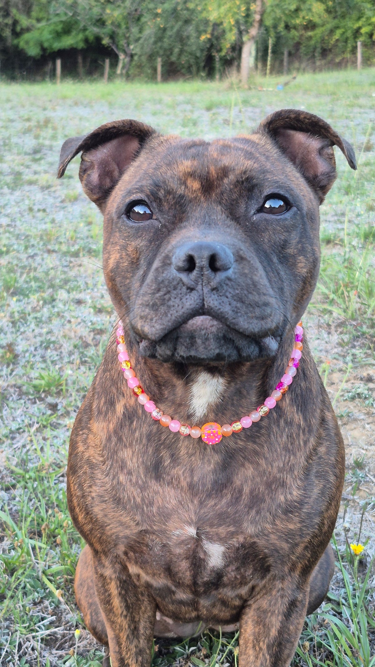 Collier "Donuts Pêche"
