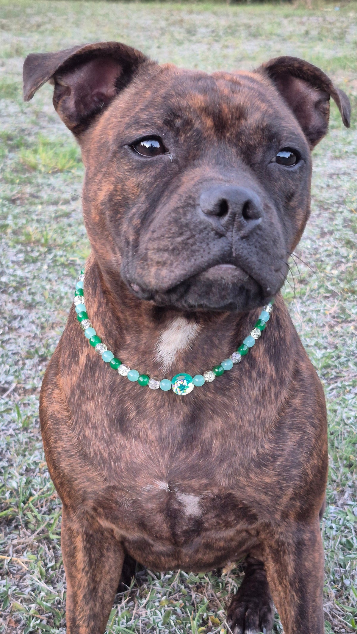 Collier "Donuts Kiwi"