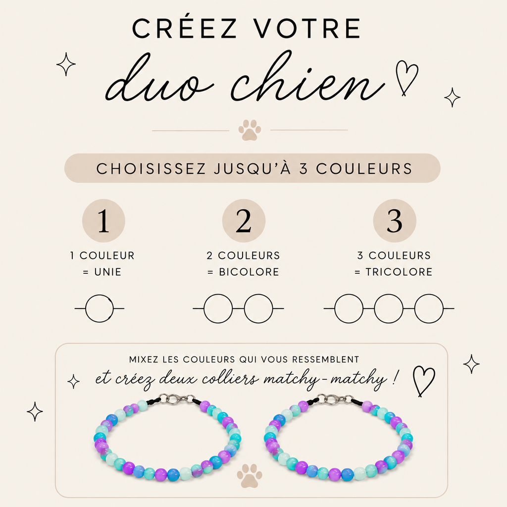 Duo chiens Matchy-Matchy