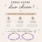 Duo colliers antiparasitaires